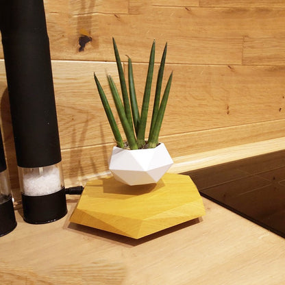 Magnetic Levitation Potted Plant -Multistyles