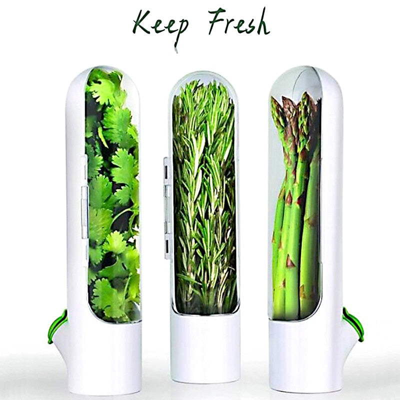 fresh herb container – keep herbs fresh longer