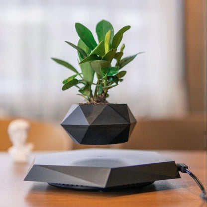 Magnetic Levitation Potted Plant -Multistyles