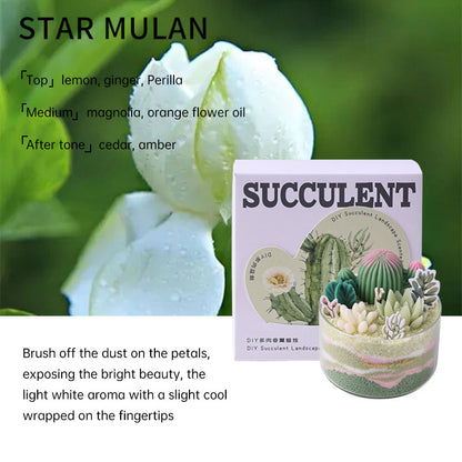 DIY Scented Candles, Multistyles