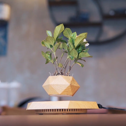 Magnetic Levitation Potted Plant -Multistyles