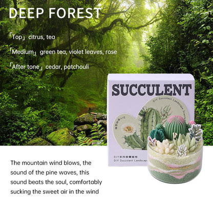 DIY Scented Candles, Multistyles