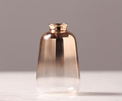 hydroponic glass vase