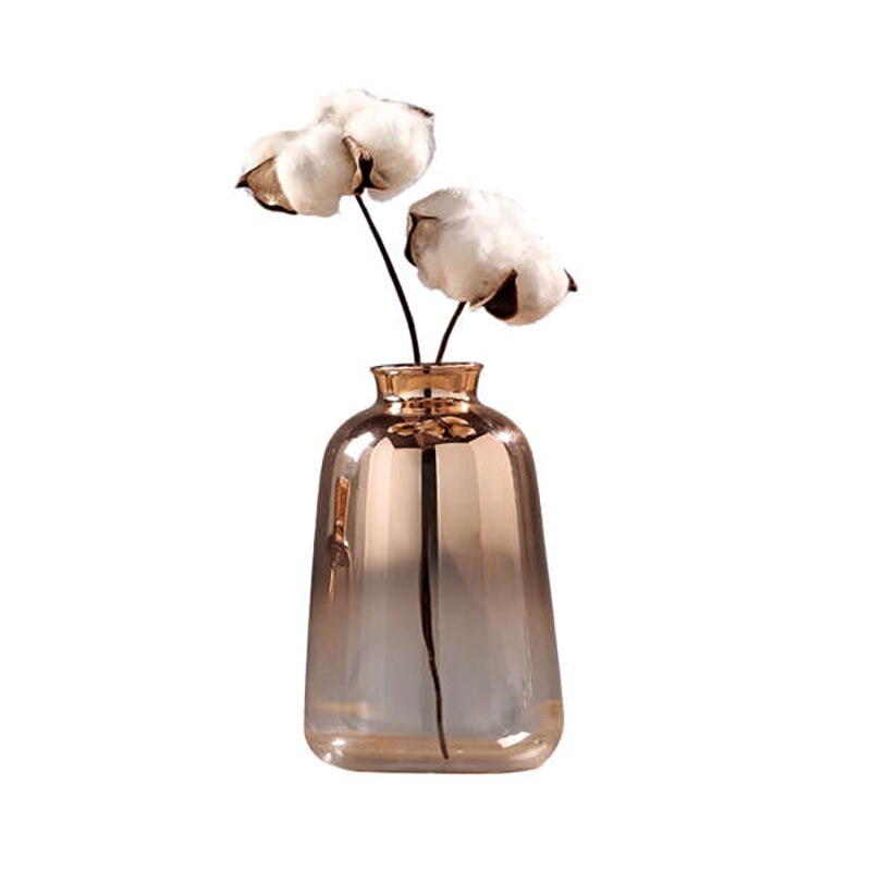 hydroponic glass vase