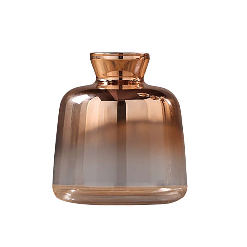hydroponic glass vase