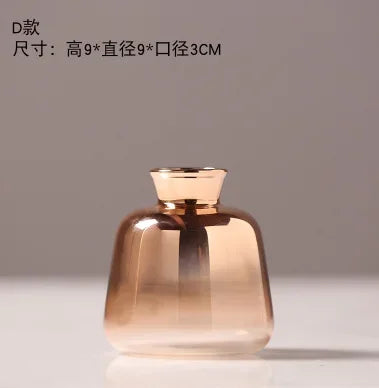 hydroponic glass vase