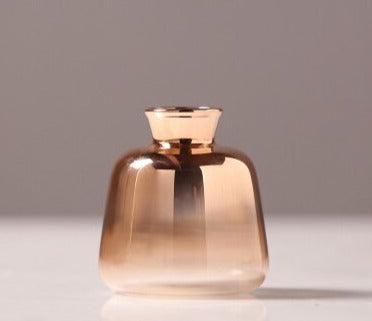 hydroponic glass vase