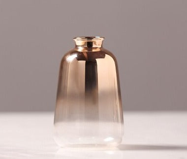 hydroponic glass vase