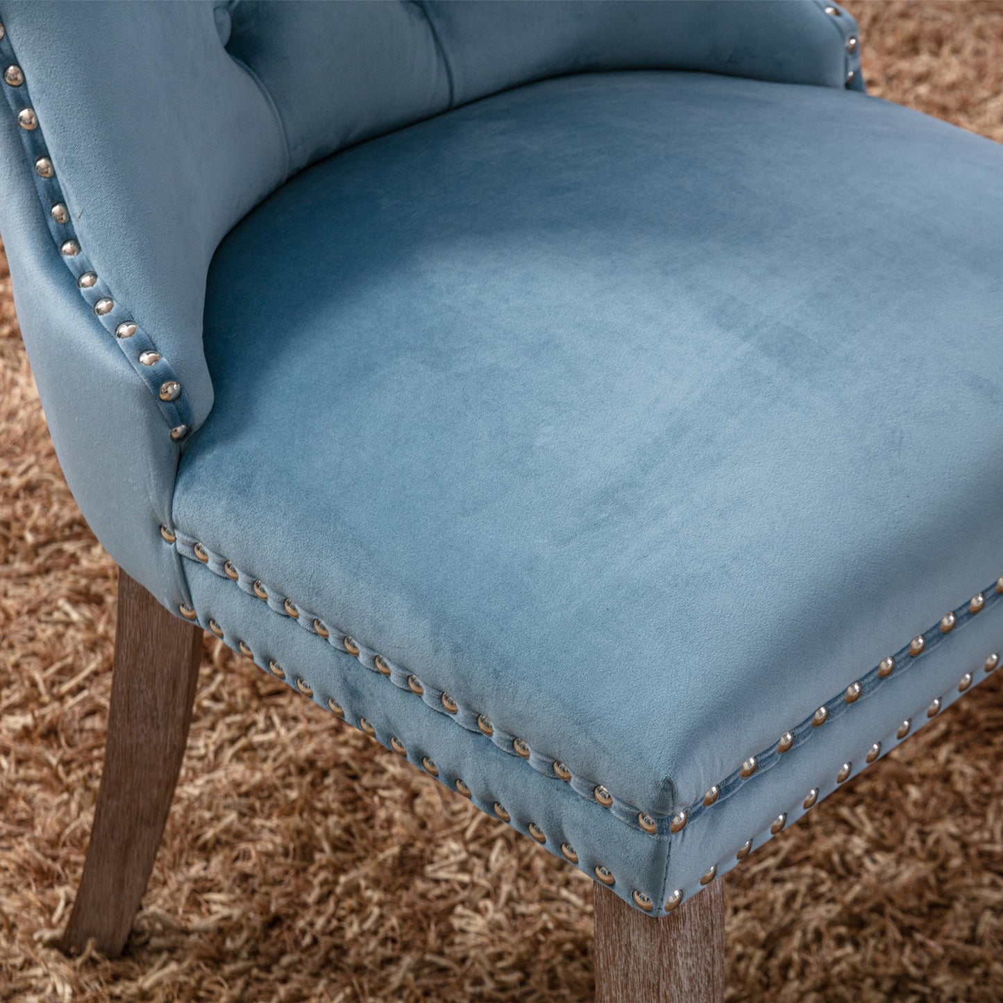 nikki collection modern high-end tufted dining chairs 2-pcs set, light blue