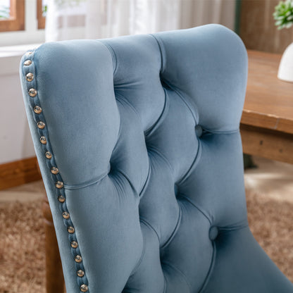 Nikki Collection Modern High-end Tufted Dining Chairs 2-Pcs Set, Light Blue