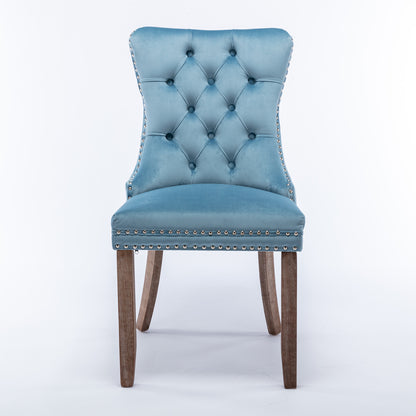 Nikki Collection Modern High-end Tufted Dining Chairs 2-Pcs Set, Light Blue