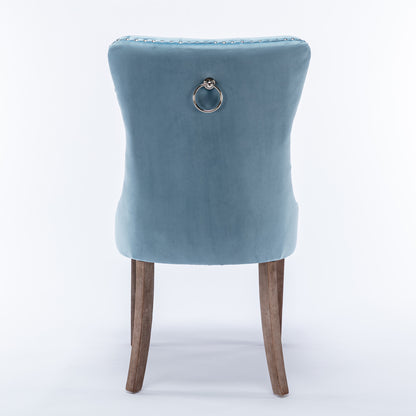 Nikki Collection Modern High-end Tufted Dining Chairs 2-Pcs Set, Light Blue