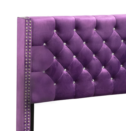 Julie Queen Upholstered Bed , Purple