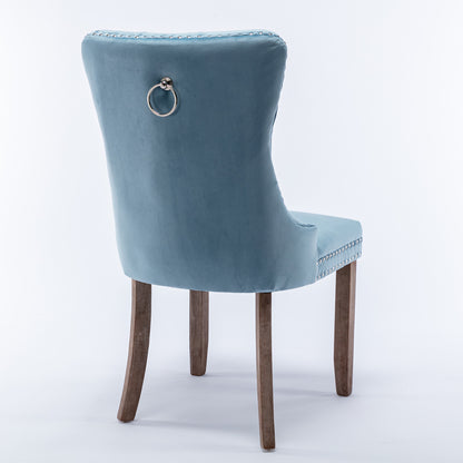 Nikki Collection Modern High-end Tufted Dining Chairs 2-Pcs Set, Light Blue