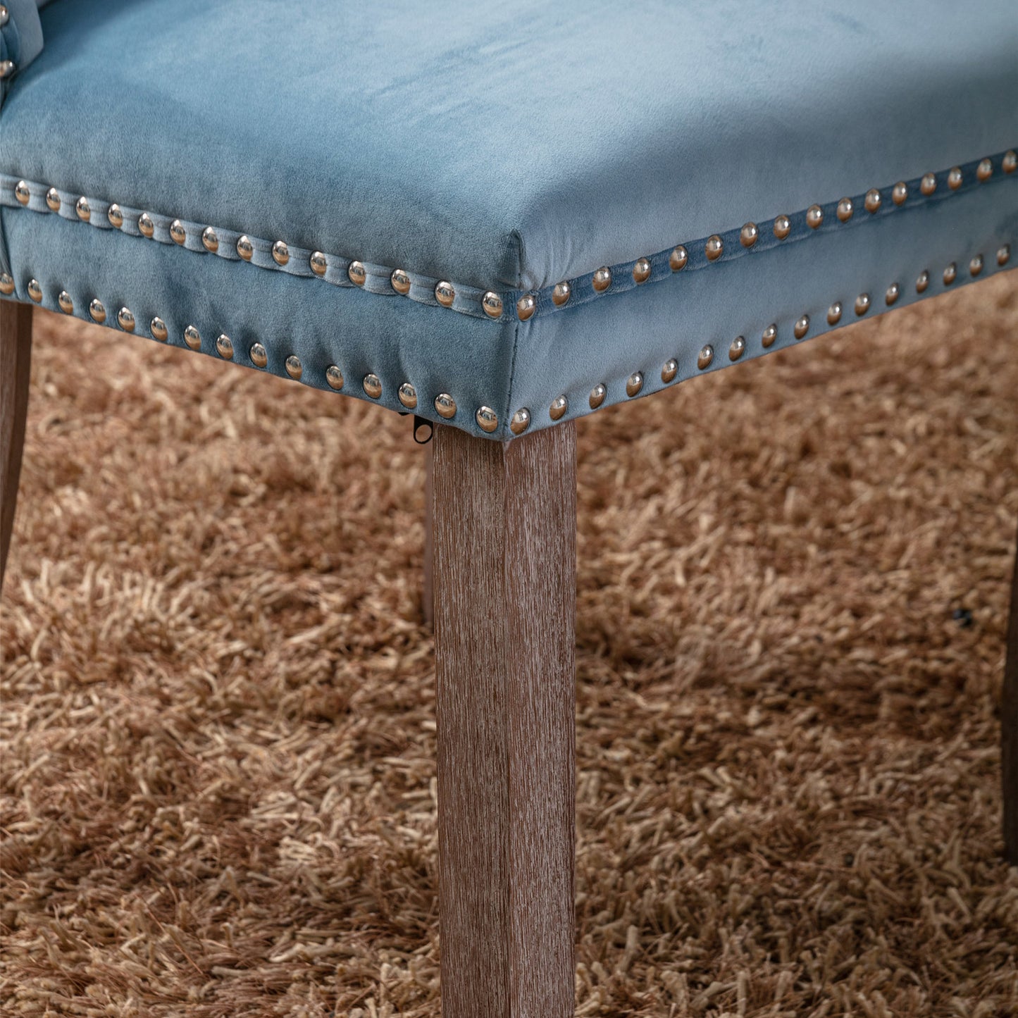 nikki collection modern high-end tufted dining chairs 2-pcs set, light blue