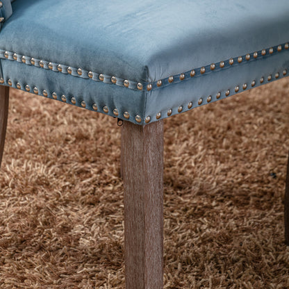 Nikki Collection Modern High-end Tufted Dining Chairs 2-Pcs Set, Light Blue