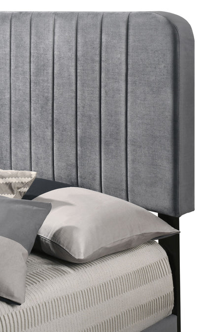 Lodi TWIN BED , GRAY