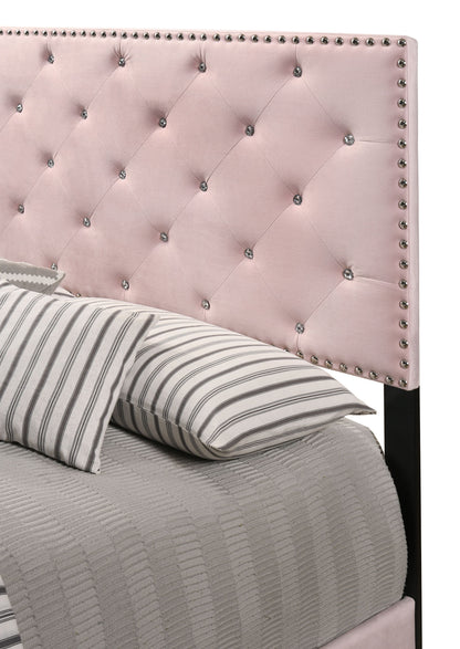 Velvet Suffolk Upholstered Bed, PINK