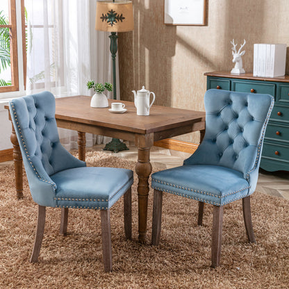 Nikki Collection Modern High-end Tufted Dining Chairs 2-Pcs Set, Light Blue