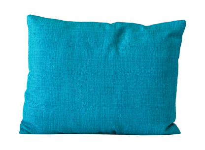 Blue ZigZag Cushion