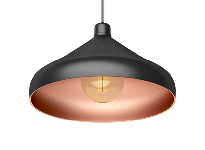 Black Metal Single Hanging Light