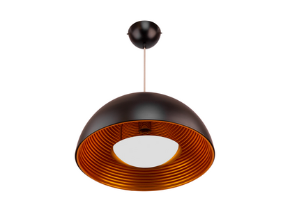 Black Metal Single Hanging Light