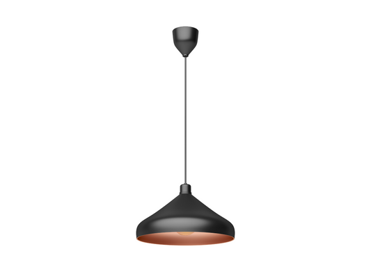 Black Metal Single Hanging Light